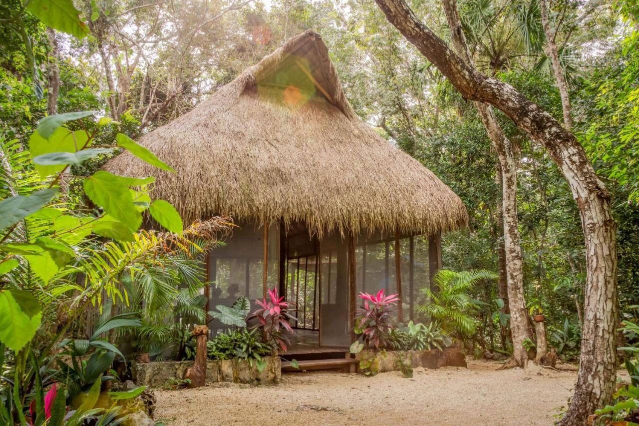 Hostal Madre Tierra Eco Habitat Puerto Morelos Exterior foto