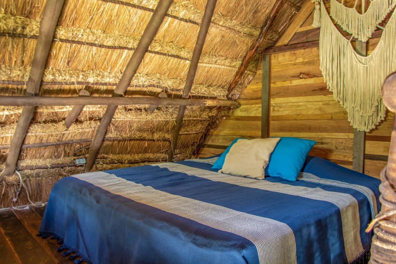 Hostal Madre Tierra Eco Habitat Puerto Morelos Exterior foto