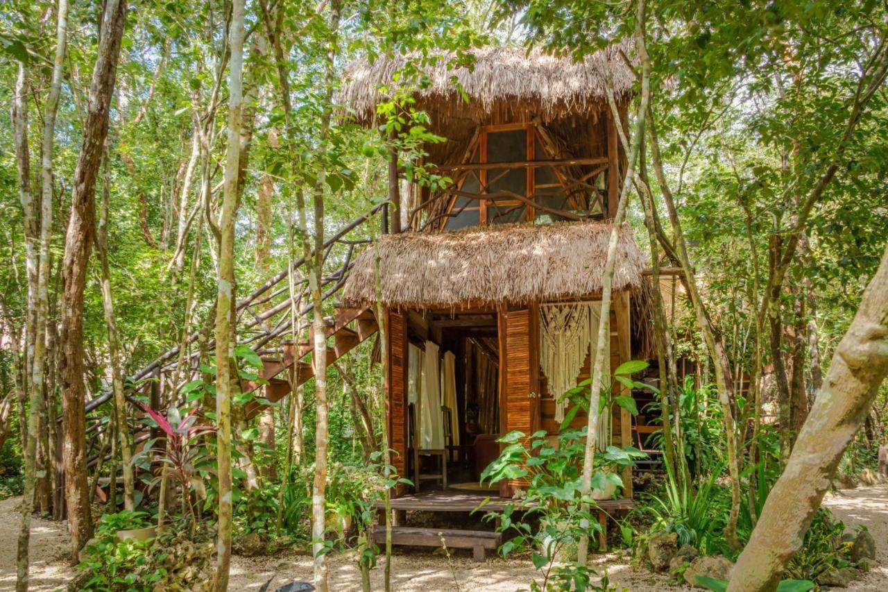 Hostal Madre Tierra Eco Habitat Puerto Morelos Exterior foto
